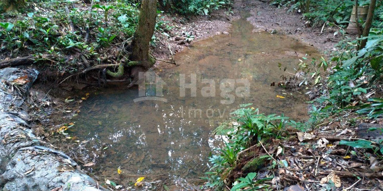 Chácara de 5 ha em Gaspar, SC
