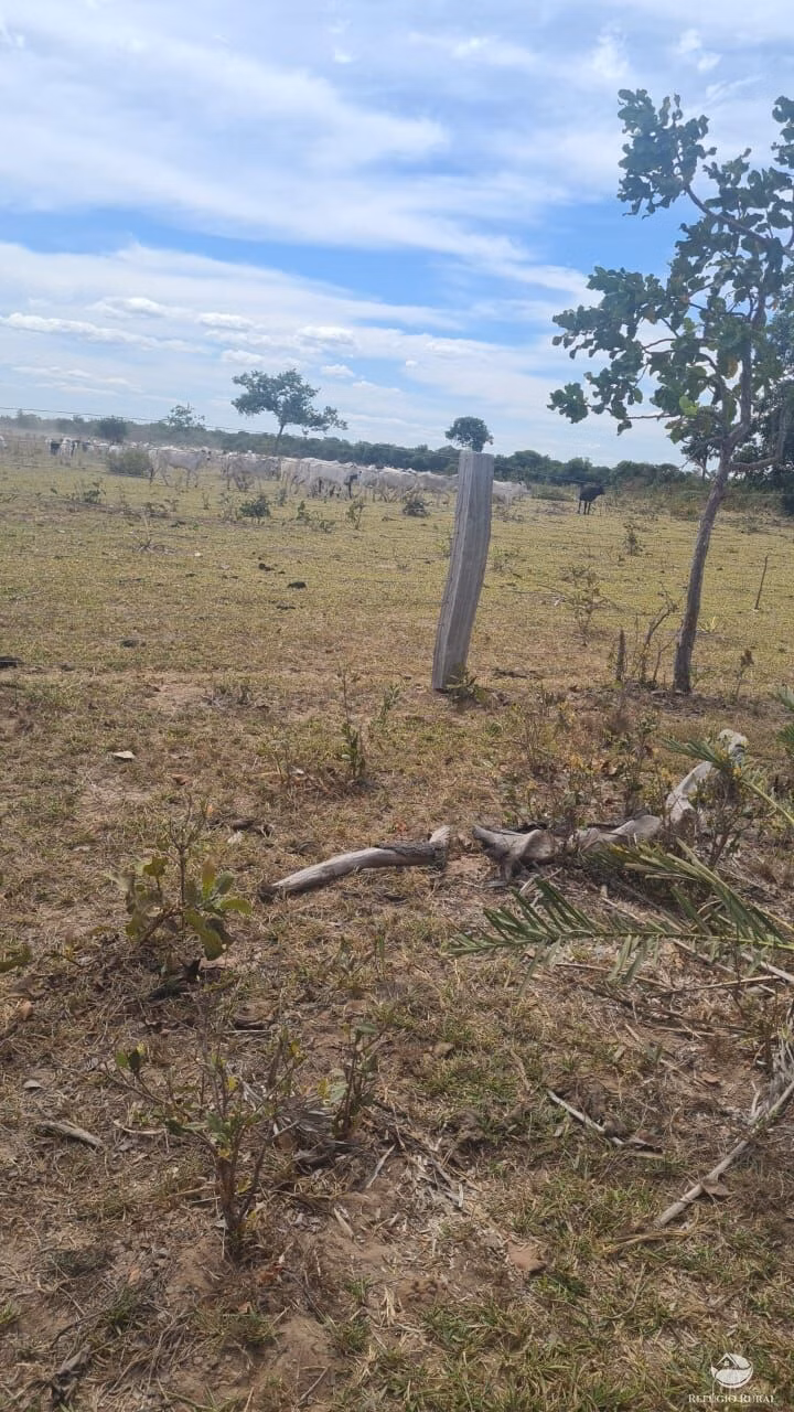 Fazenda de 3.150 ha em Paranatinga, MT