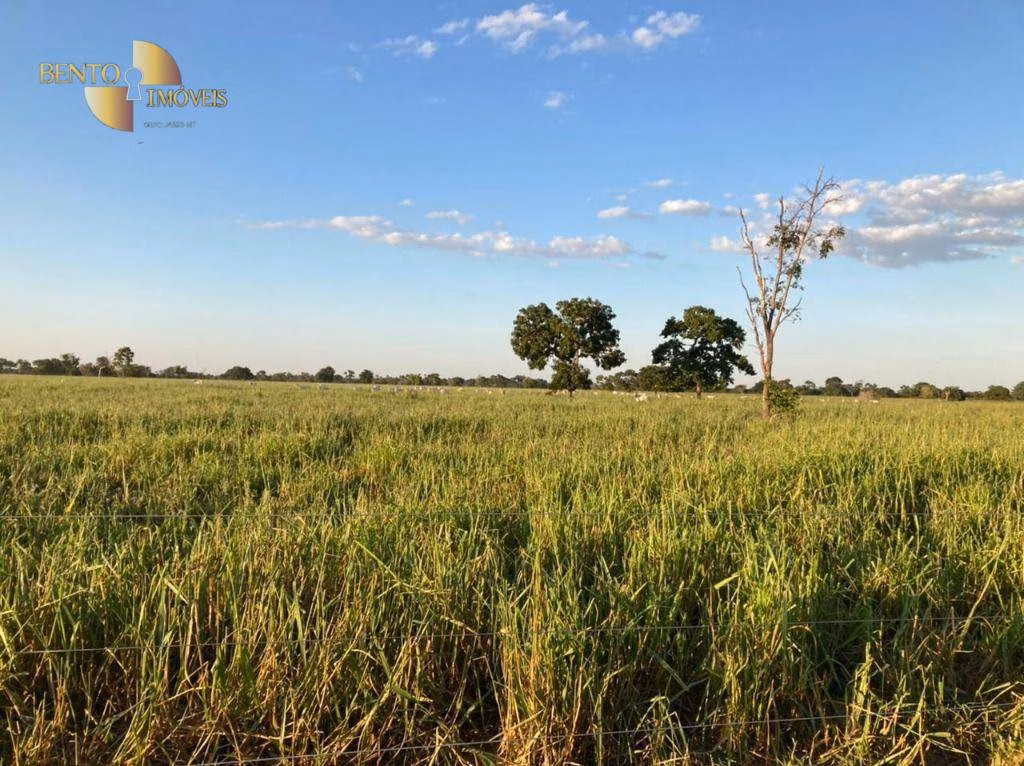Fazenda de 3.511 ha em Itiquira, MT