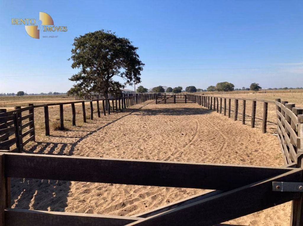 Fazenda de 3.511 ha em Itiquira, MT