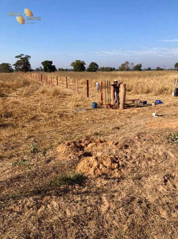 Fazenda de 3.511 ha em Itiquira, MT
