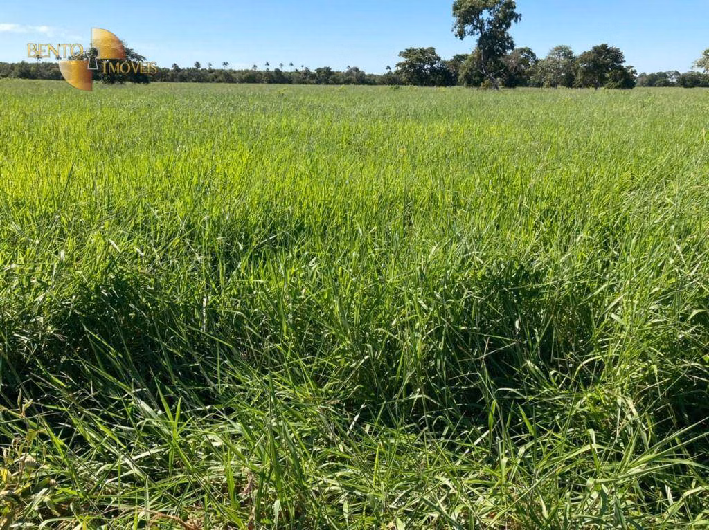 Fazenda de 3.511 ha em Itiquira, MT