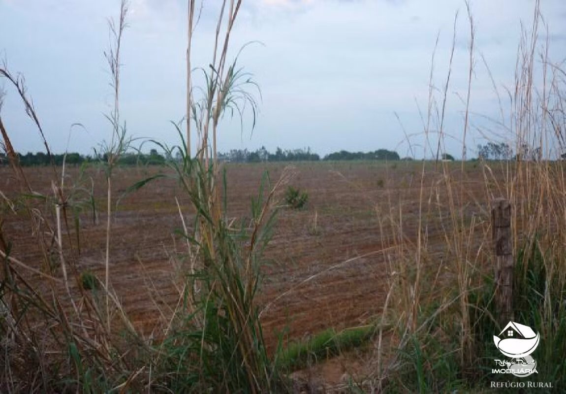 Fazenda de 515 ha em Alvorada, TO