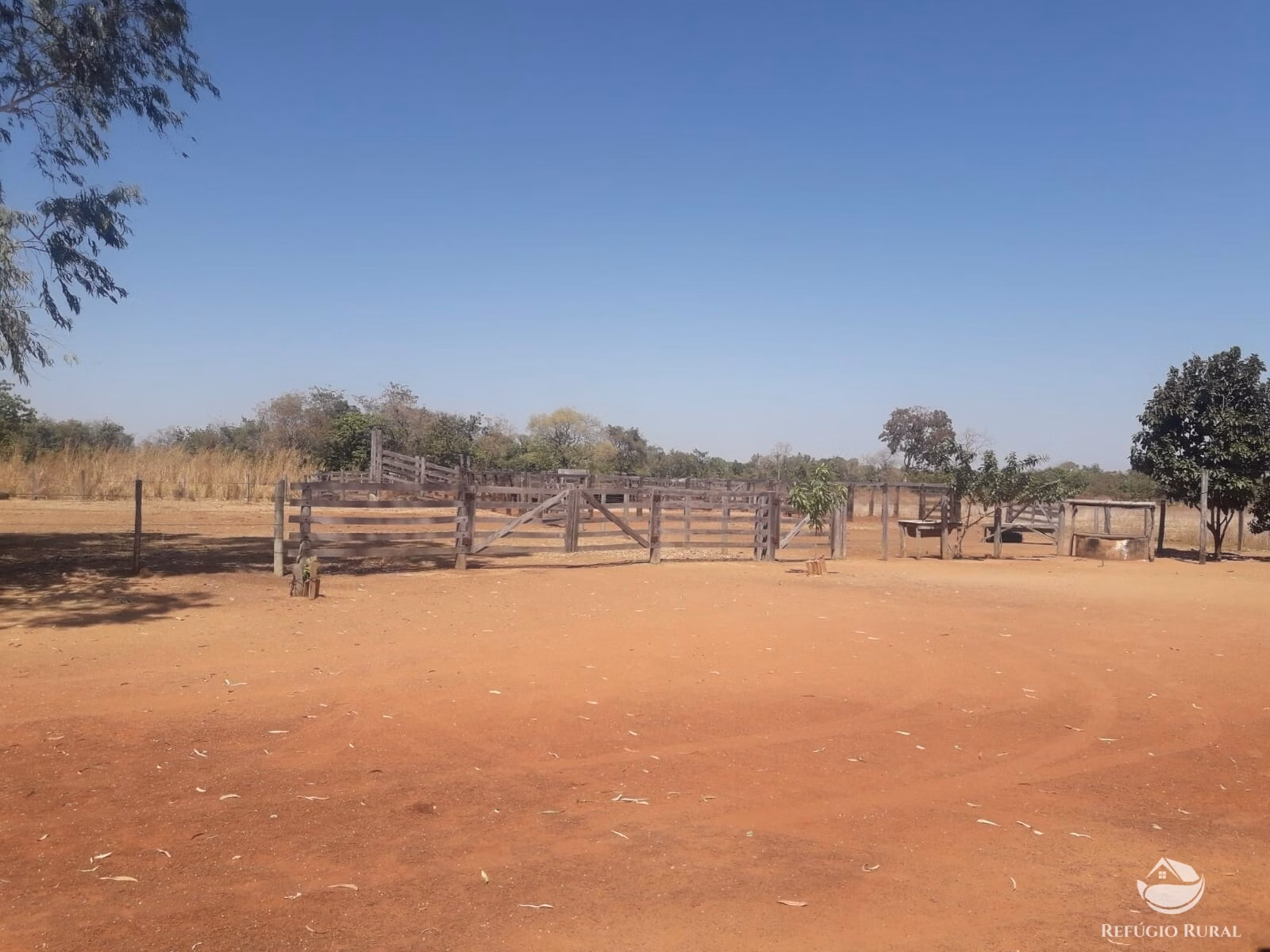 Fazenda de 515 ha em Alvorada, TO