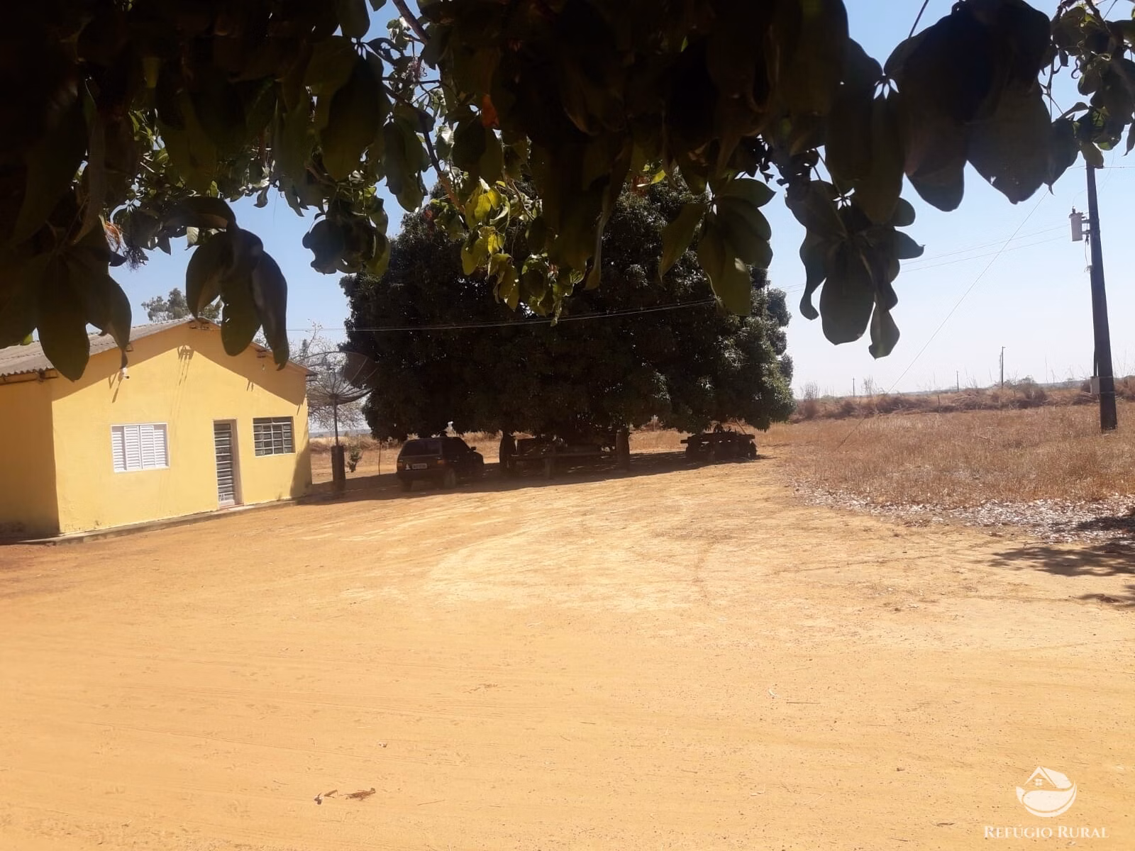 Fazenda de 515 ha em Alvorada, TO
