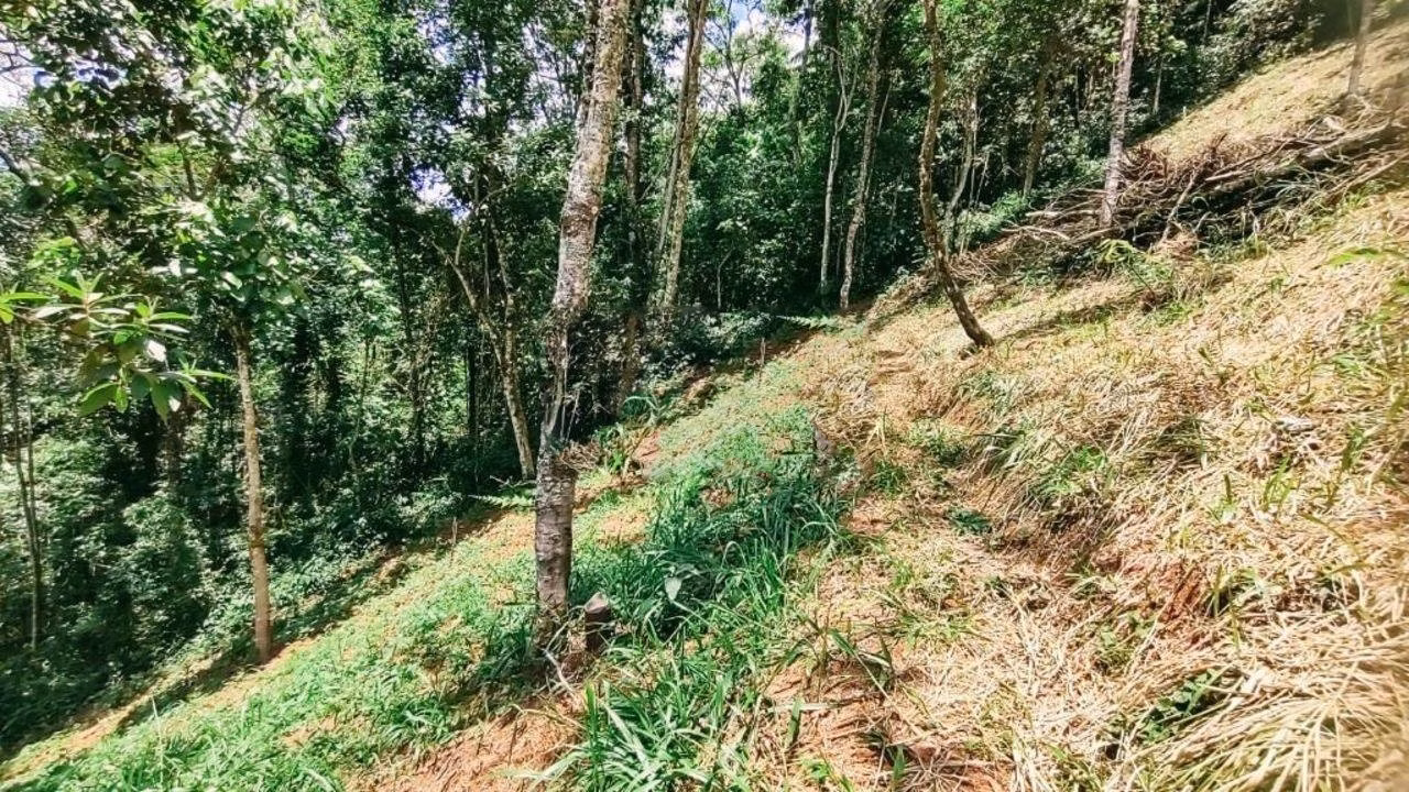 Terreno de 3 ha em Monteiro Lobato, SP