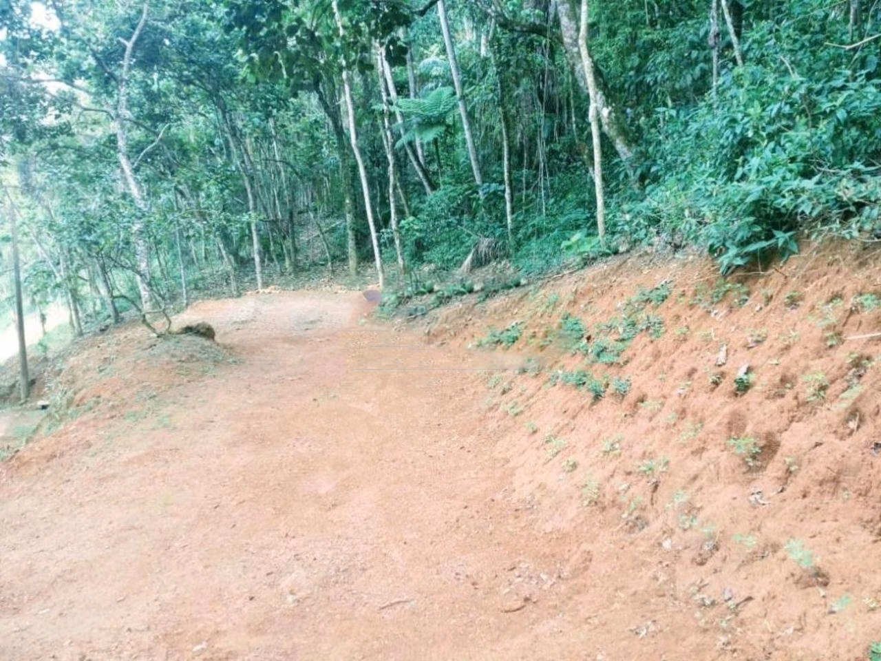 Plot of 7 acres in Monteiro Lobato, SP, Brazil