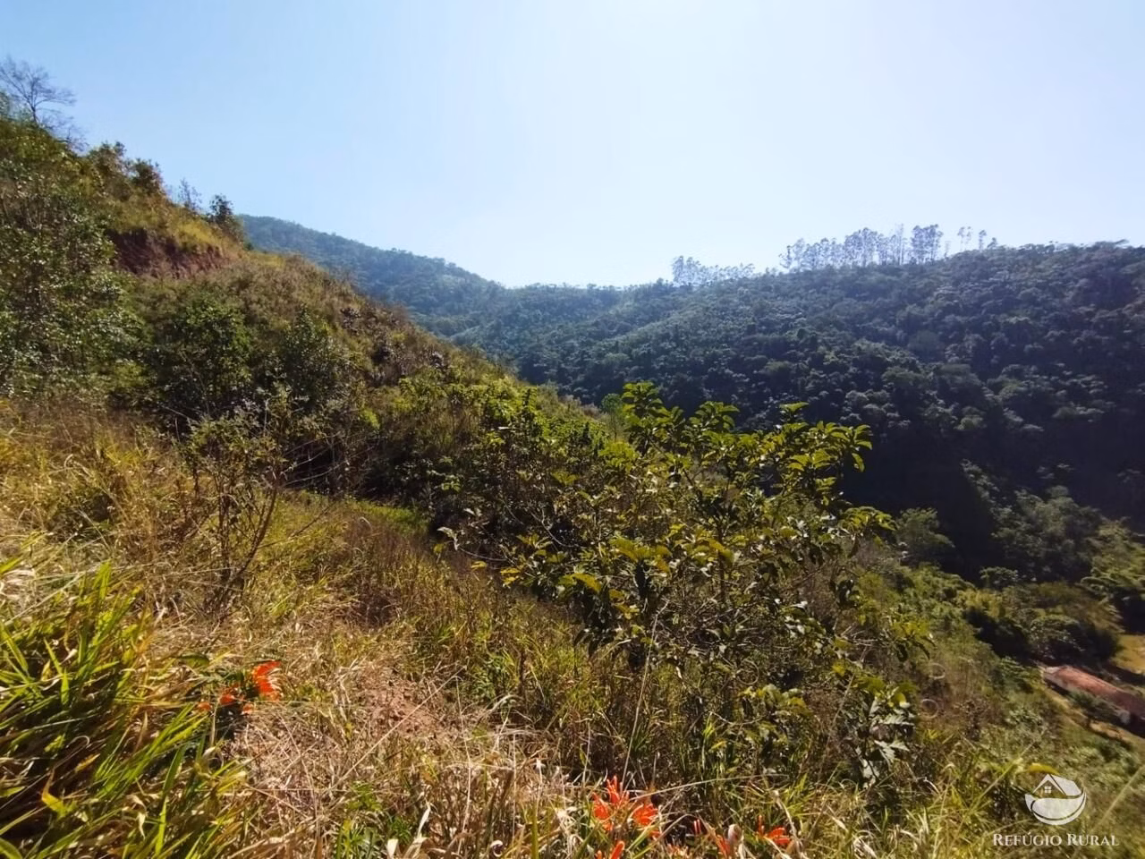 Fazenda de 121 ha em Redenção da Serra, SP