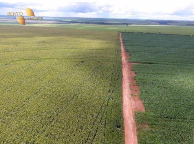 Fazenda de 4.400 ha em Primavera do Leste, MT