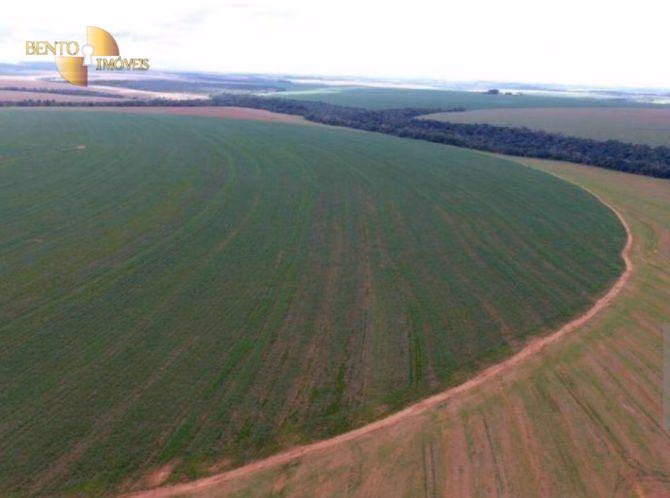 Fazenda de 4.400 ha em Primavera do Leste, MT