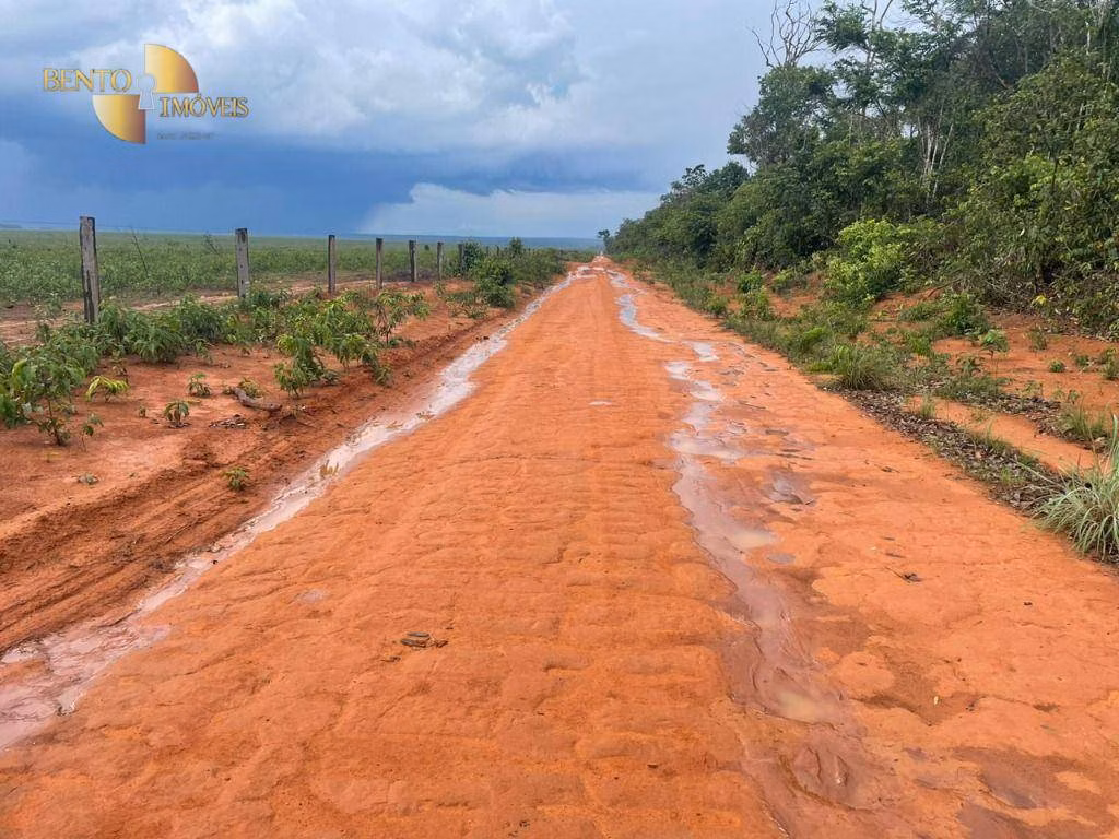 Fazenda de 11.500 ha em Nova Ubiratã, MT