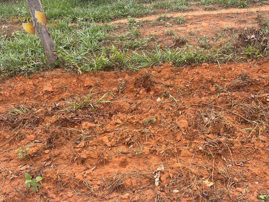 Fazenda de 11.500 ha em Nova Ubiratã, MT