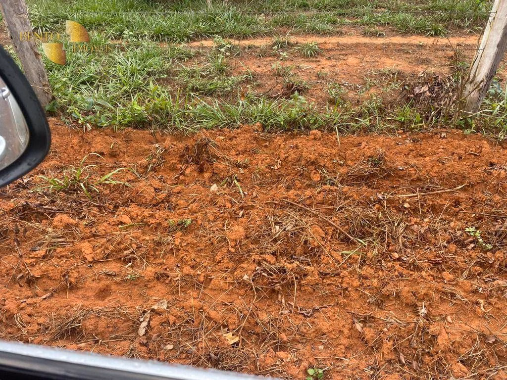 Fazenda de 11.500 ha em Nova Ubiratã, MT