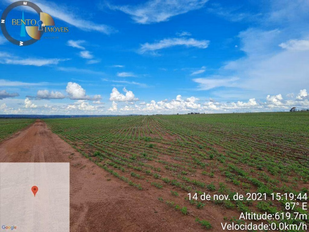 Fazenda de 2.436 ha em Pedra Preta, MT