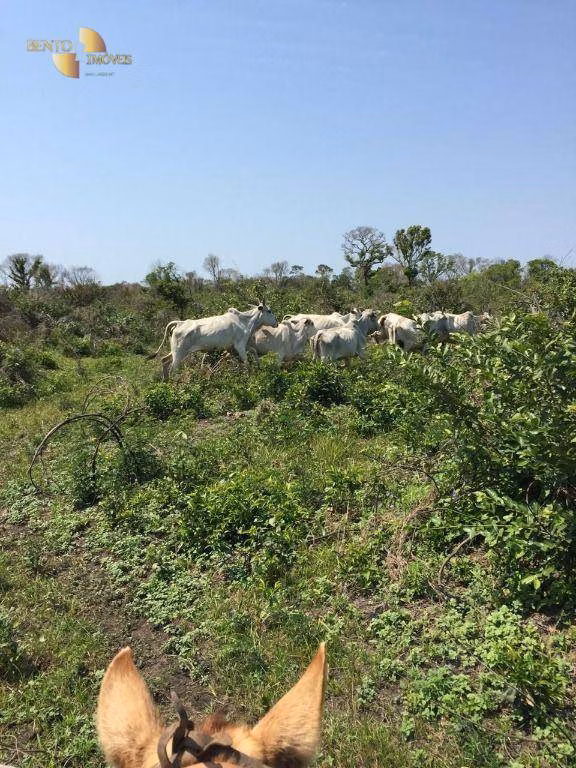 Fazenda de 3.200 ha em Poconé, MT