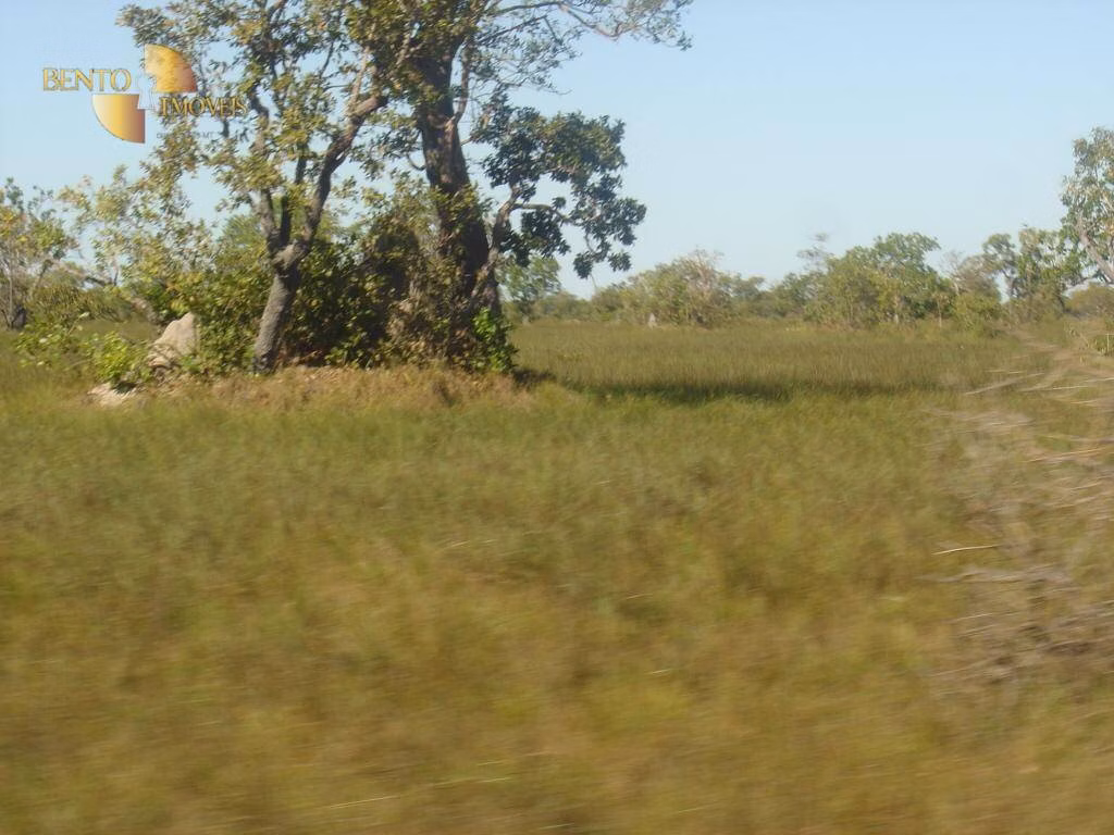 Farm of 90,744 acres in Luciara, MT, Brazil