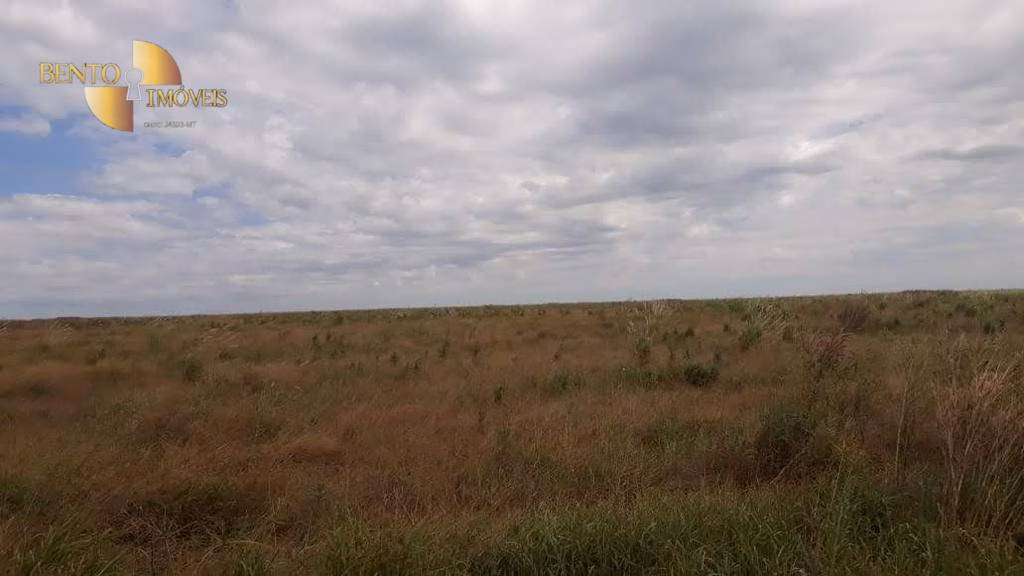 Farm of 90,744 acres in Luciara, MT, Brazil