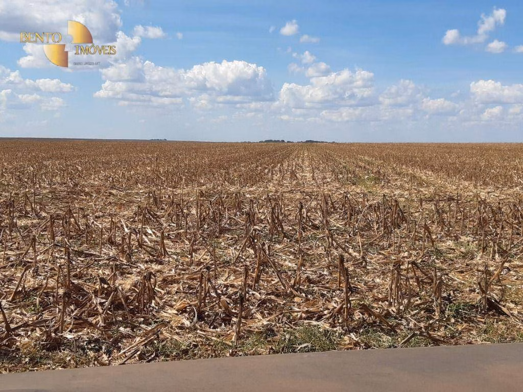 Fazenda de 12.455 ha em Primavera do Leste, MT