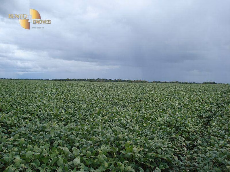 Fazenda de 12.455 ha em Primavera do Leste, MT