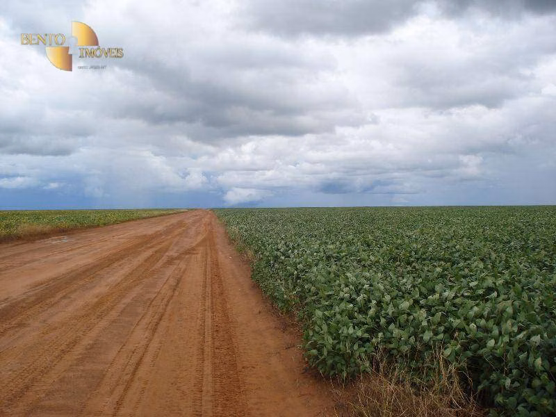 Fazenda de 12.455 ha em Primavera do Leste, MT