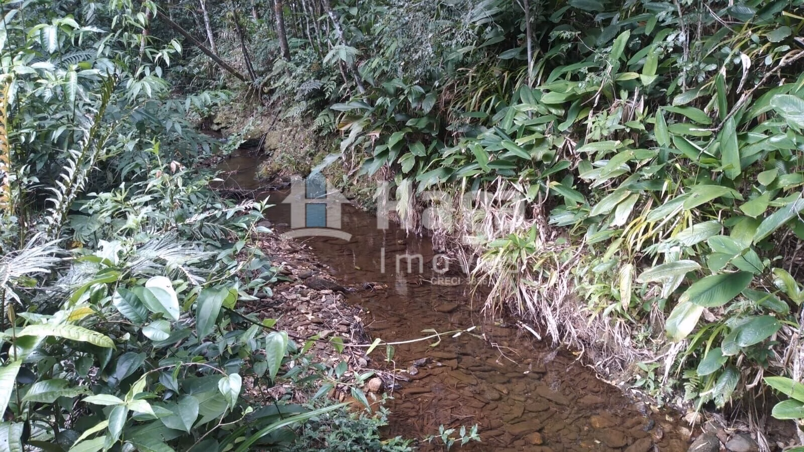 Plot of 4 acres in Itajaí, SC, Brazil