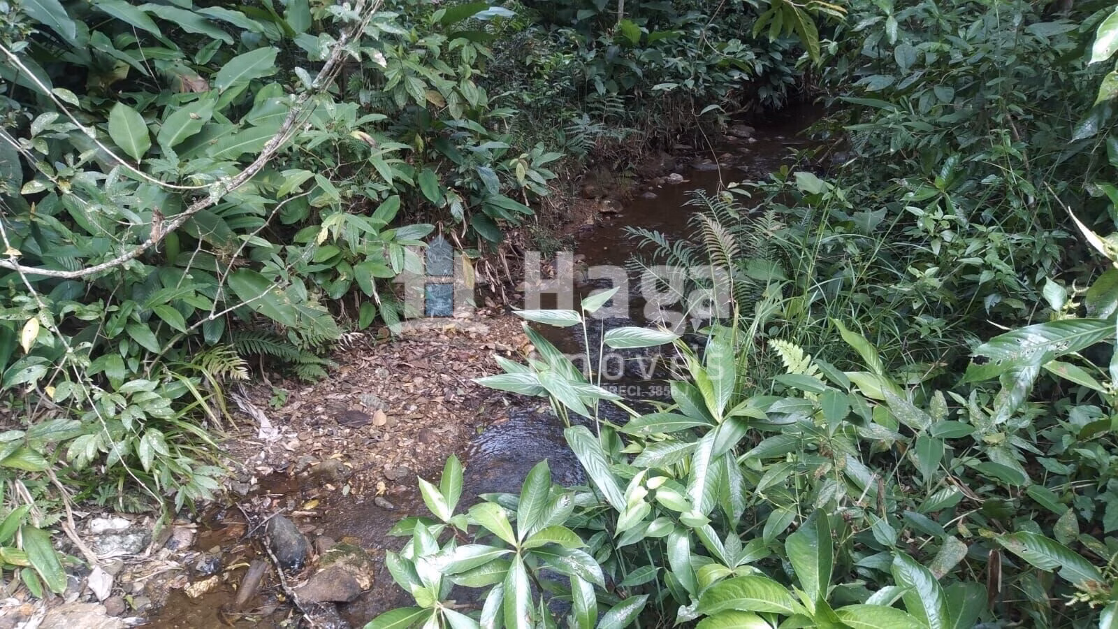 Plot of 4 acres in Itajaí, SC, Brazil
