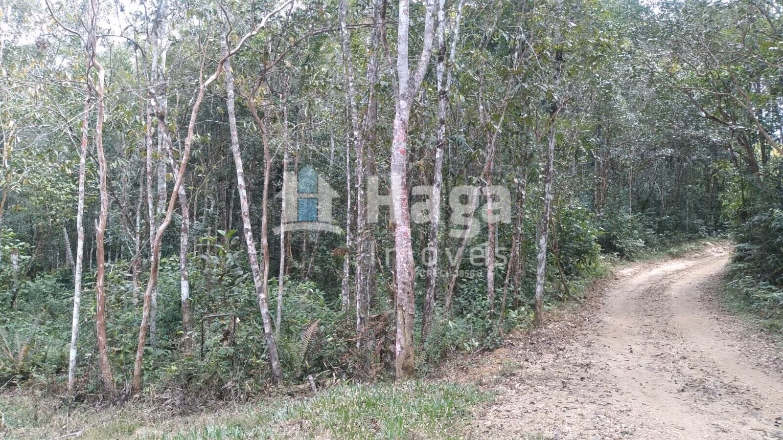 Plot of 4 acres in Itajaí, SC, Brazil