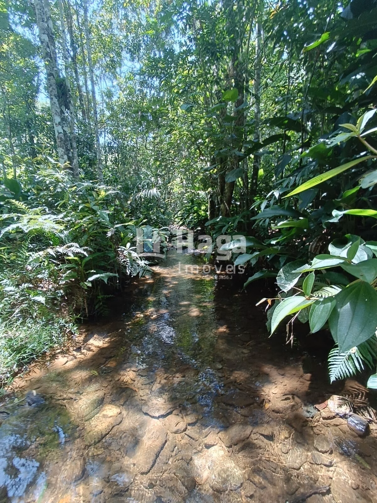 Plot of 4 acres in Itajaí, SC, Brazil