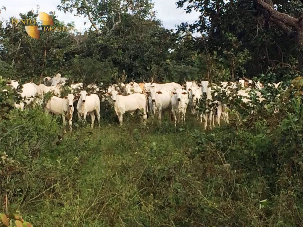 Fazenda de 702 ha em Cuiabá, MT