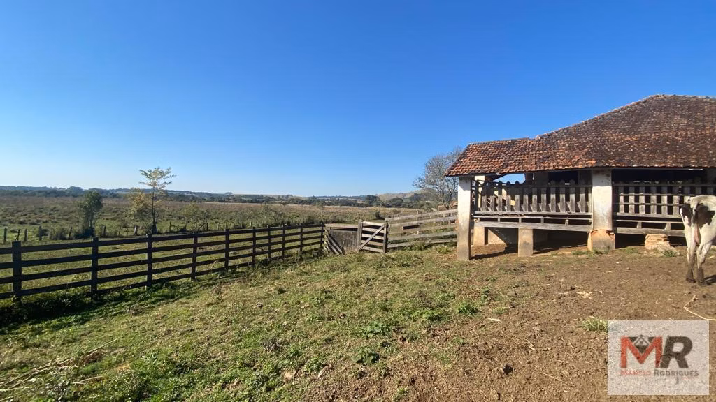 Small farm of 119 acres in Pouso Alegre, MG, Brazil