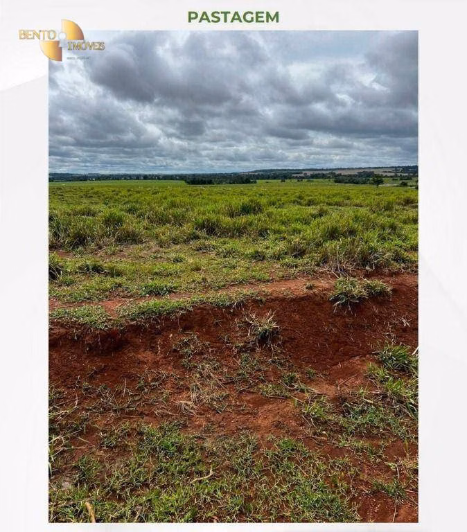 Fazenda de 2.395 ha em Chupinguaia, RO