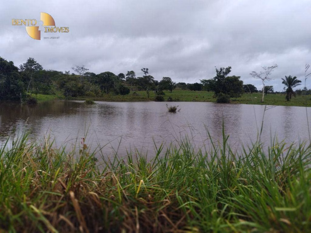 Fazenda de 2.395 ha em Chupinguaia, RO