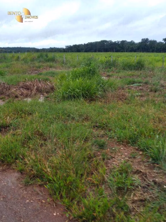 Fazenda de 2.395 ha em Chupinguaia, RO