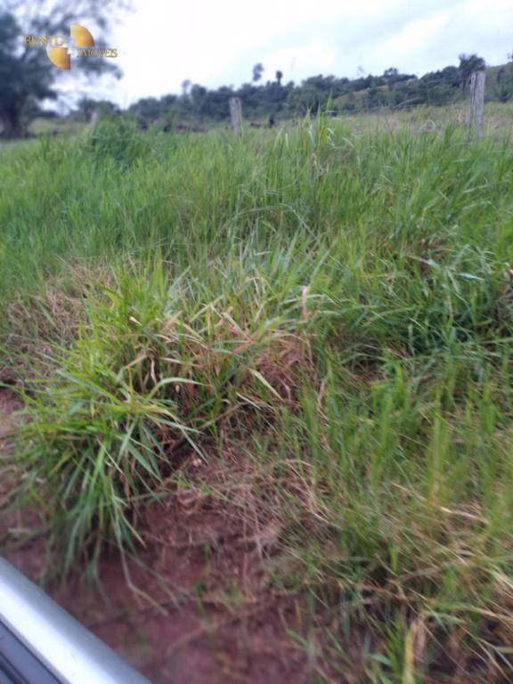 Fazenda de 2.395 ha em Chupinguaia, RO