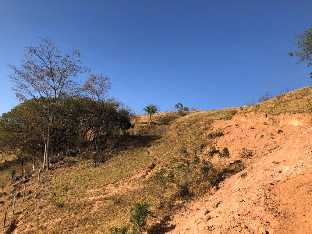 Small farm of 8 acres in Pouso Alegre, MG, Brazil