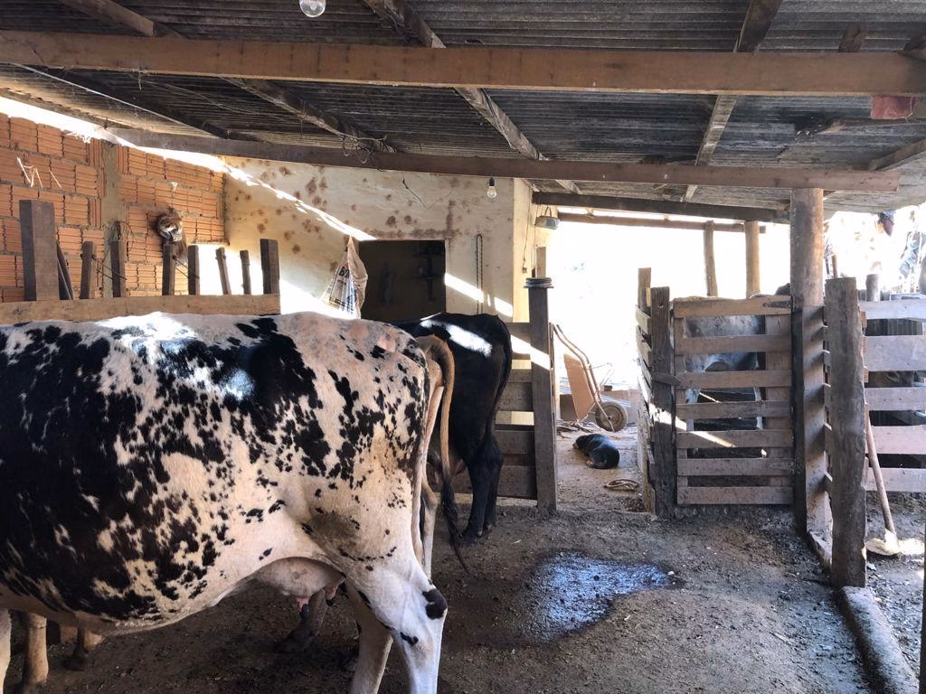 Small farm of 8 acres in Pouso Alegre, MG, Brazil
