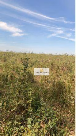 Fazenda de 2.600 ha em Porto Alegre do Norte, MT