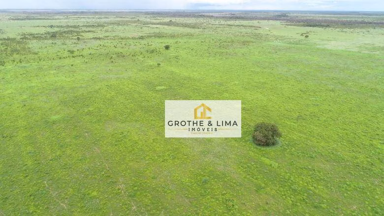 Fazenda de 2.600 ha em Porto Alegre do Norte, MT