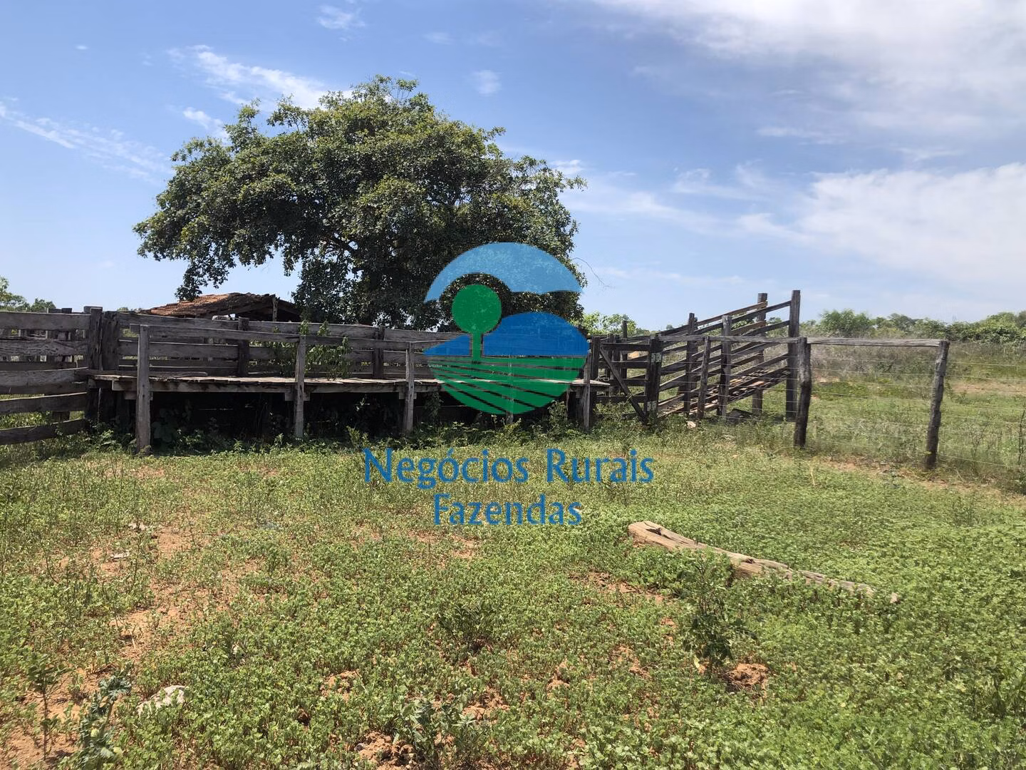 Fazenda de 266 ha em Palmeirópolis, TO
