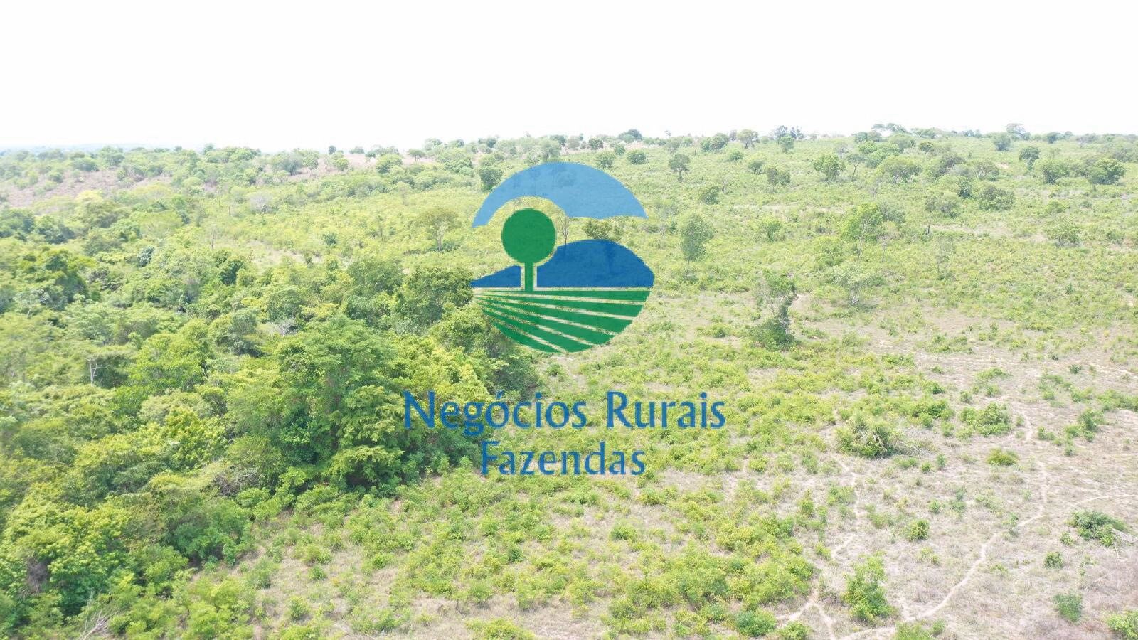 Fazenda de 266 ha em Palmeirópolis, TO
