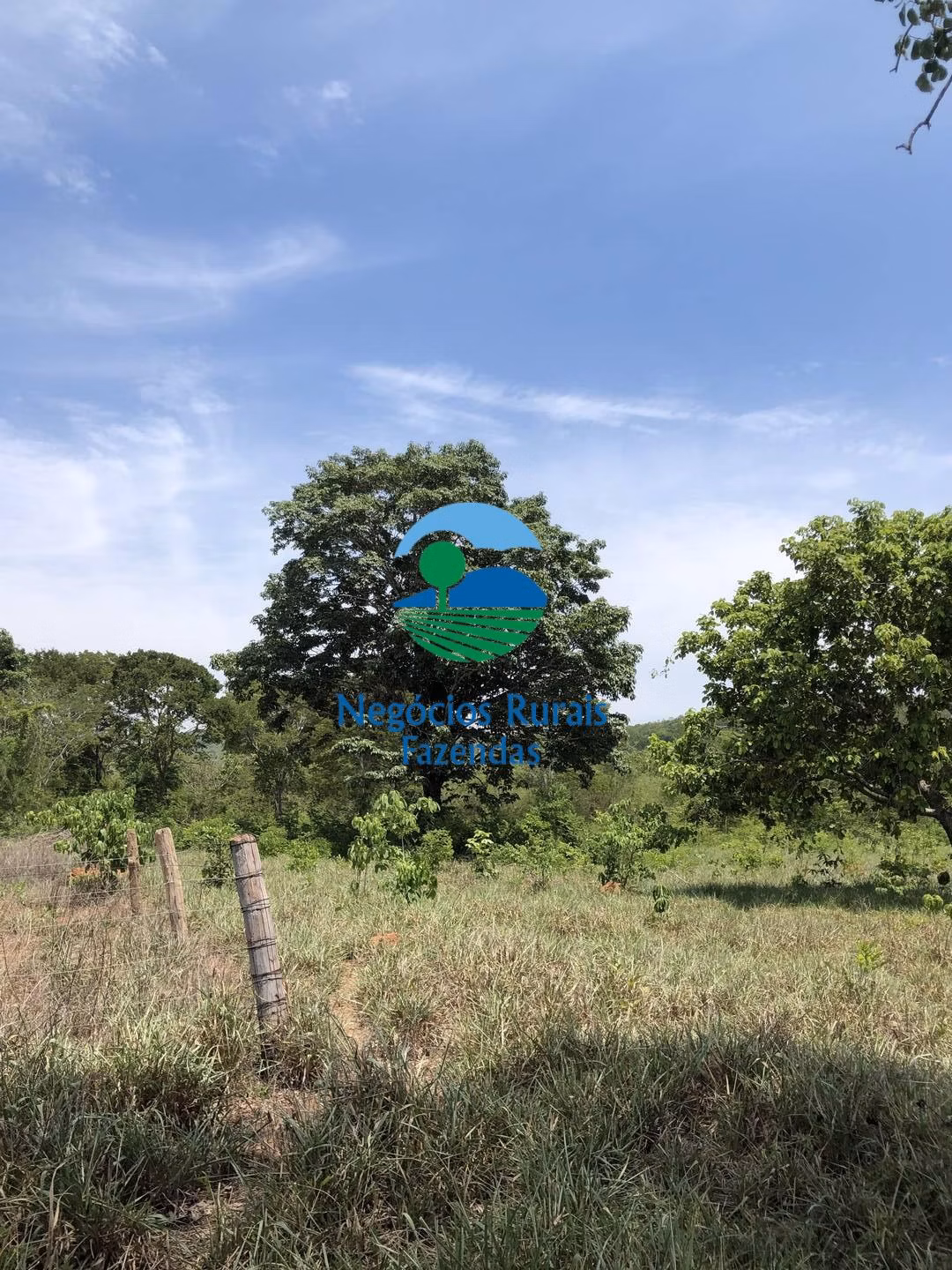 Fazenda de 266 ha em Palmeirópolis, TO