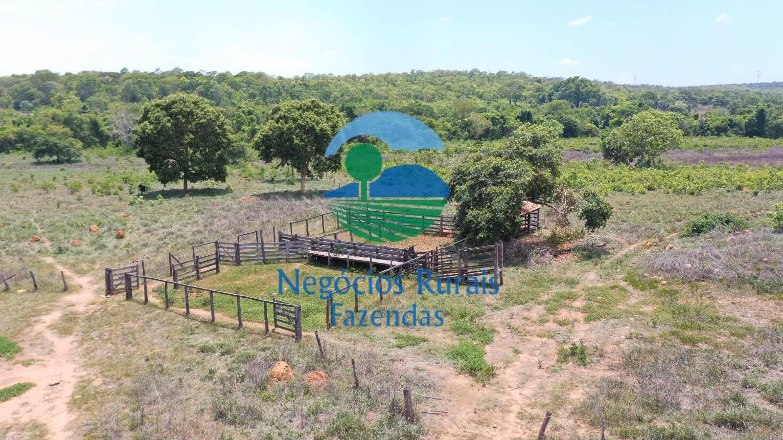 Fazenda de 266 ha em Palmeirópolis, TO