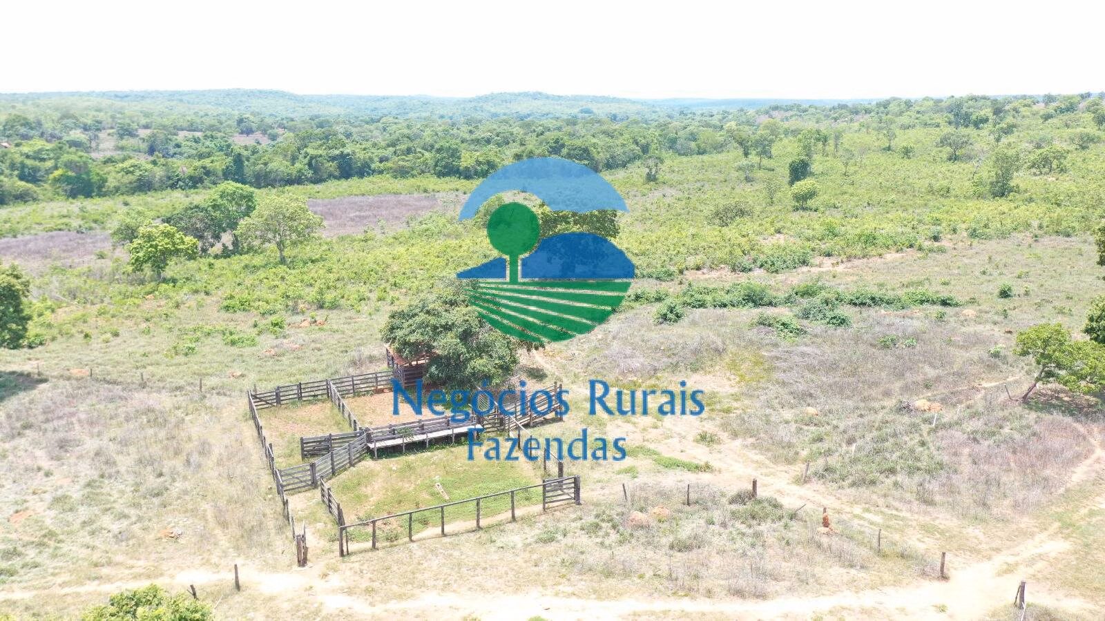 Fazenda de 266 ha em Palmeirópolis, TO