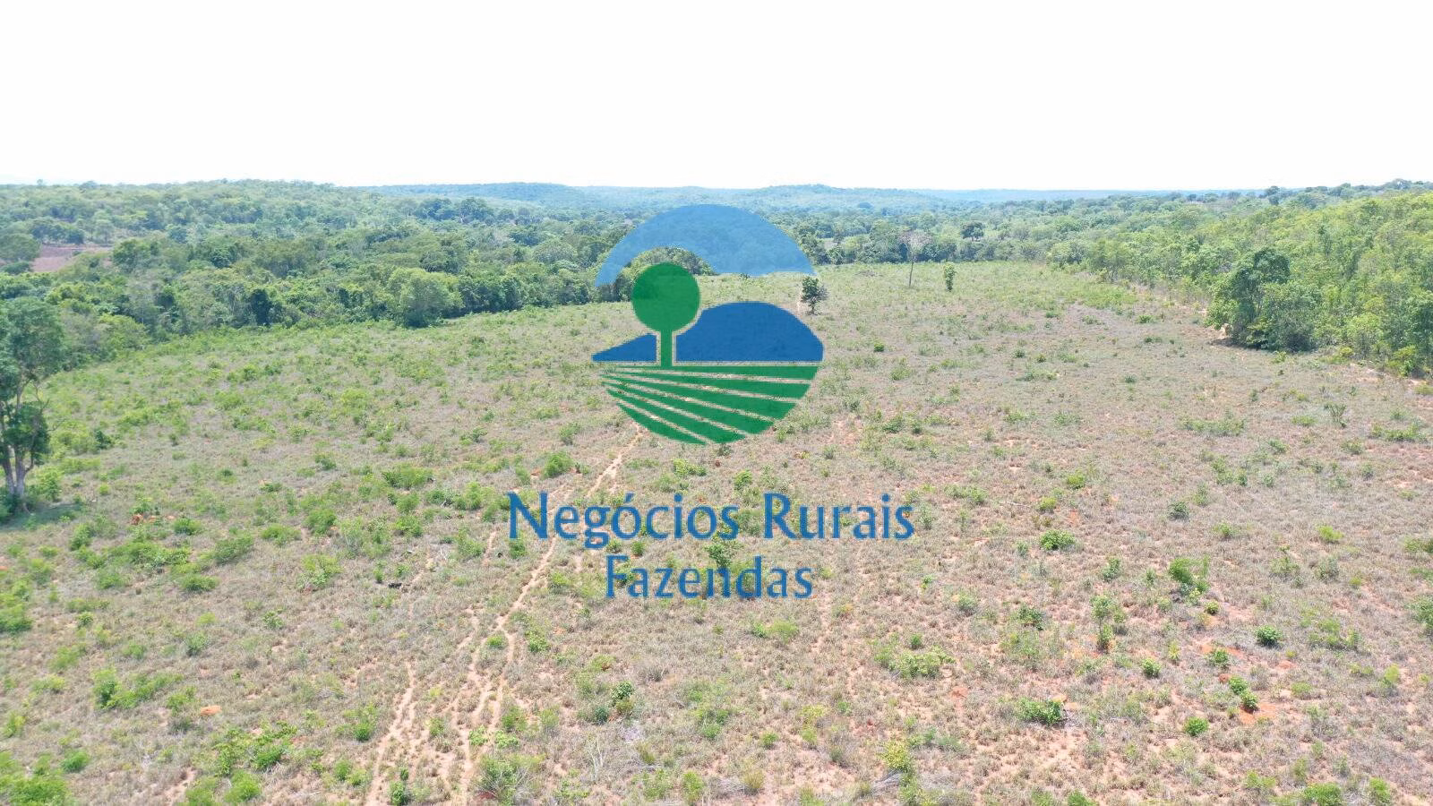 Fazenda de 266 ha em Palmeirópolis, TO