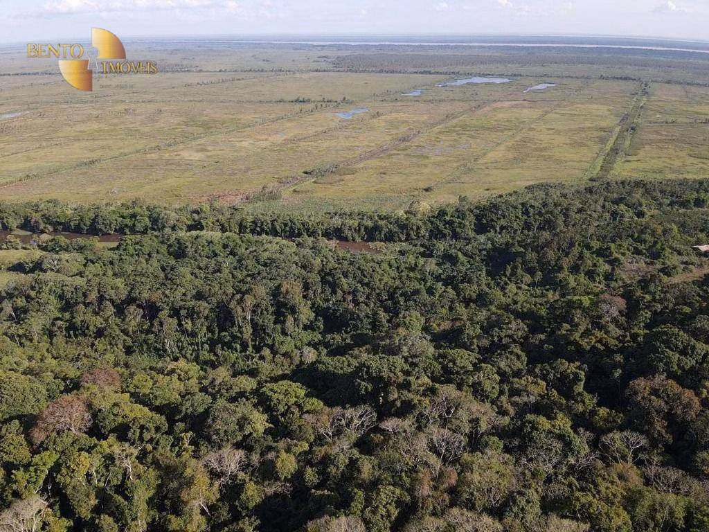 Fazenda de 26.040 ha em Almeirim, PA