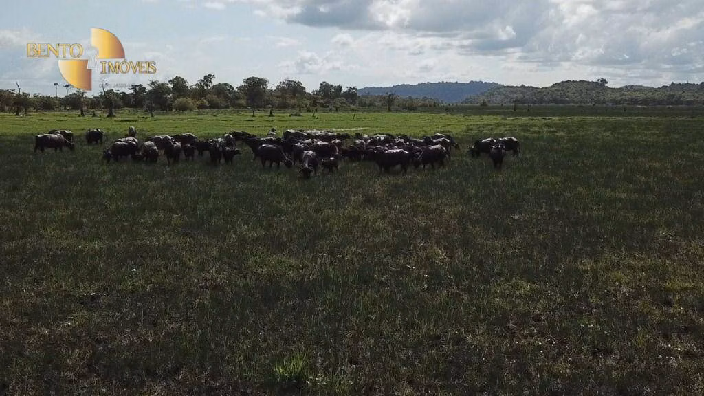 Fazenda de 26.040 ha em Almeirim, PA