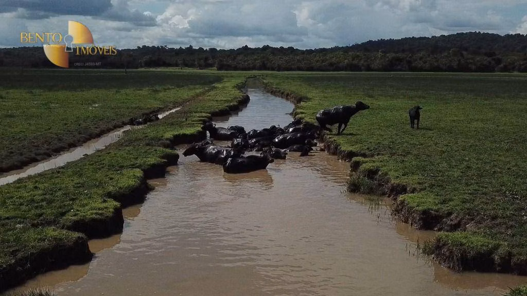 Fazenda de 26.040 ha em Almeirim, PA