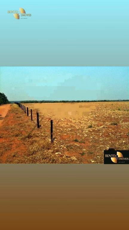 Fazenda de 400 ha em Nova Mutum, MT
