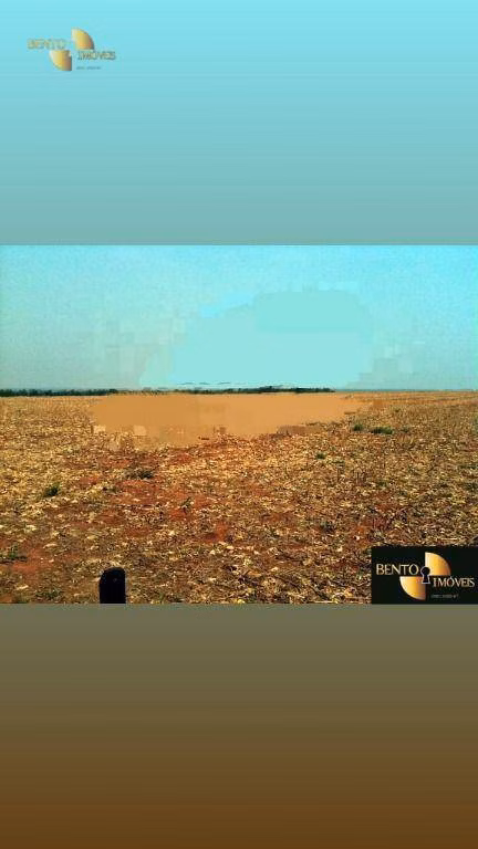 Fazenda de 400 ha em Nova Mutum, MT