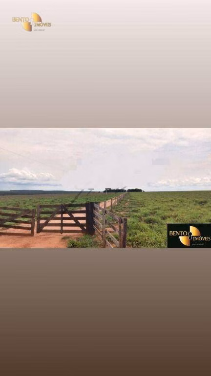 Fazenda de 400 ha em Nova Mutum, MT